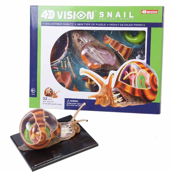 PUZZLE DIDACTICO 4D GDE, CARACOL ANATOMY