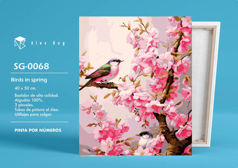 PINTAR POR NUMEROS BIRDS IN SPRING